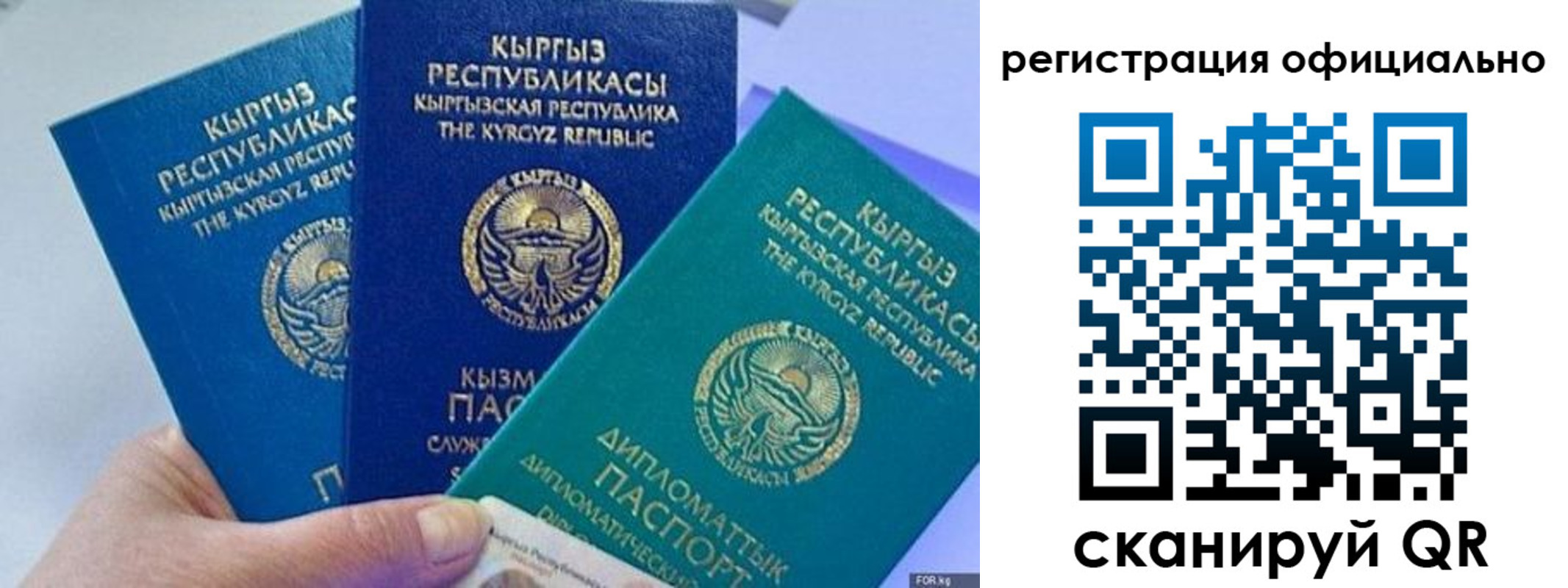 прописка в Цимлянске